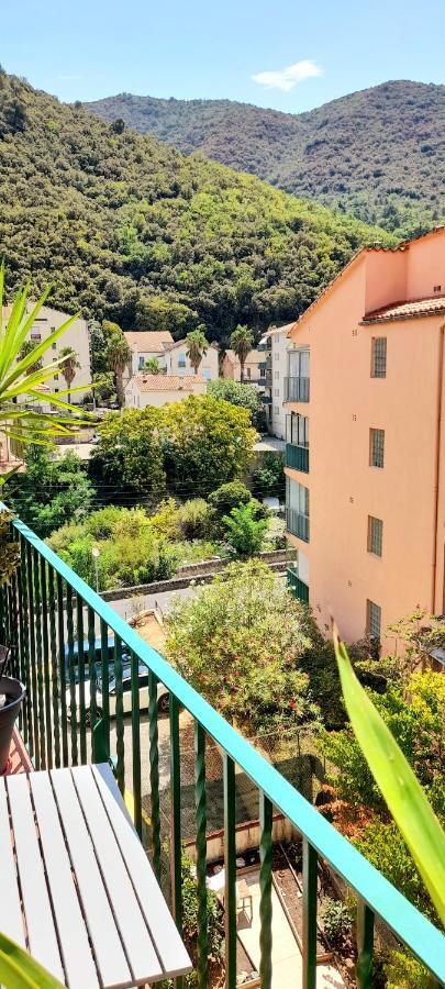 T2 Tout Confort Amélie-les-Bains-Palalda Eksteriør bilde
