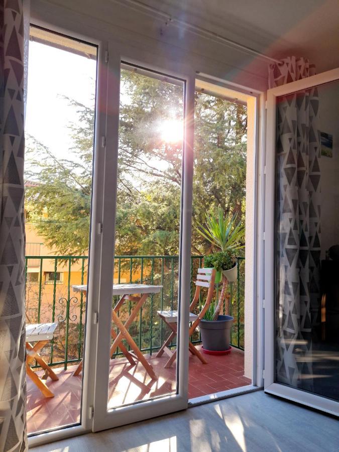 T2 Tout Confort Amélie-les-Bains-Palalda Eksteriør bilde